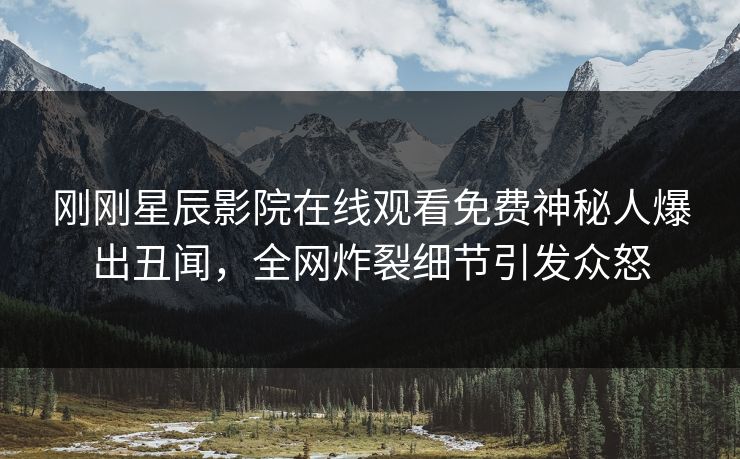 刚刚星辰影院在线观看免费神秘人爆出丑闻，全网炸裂细节引发众怒